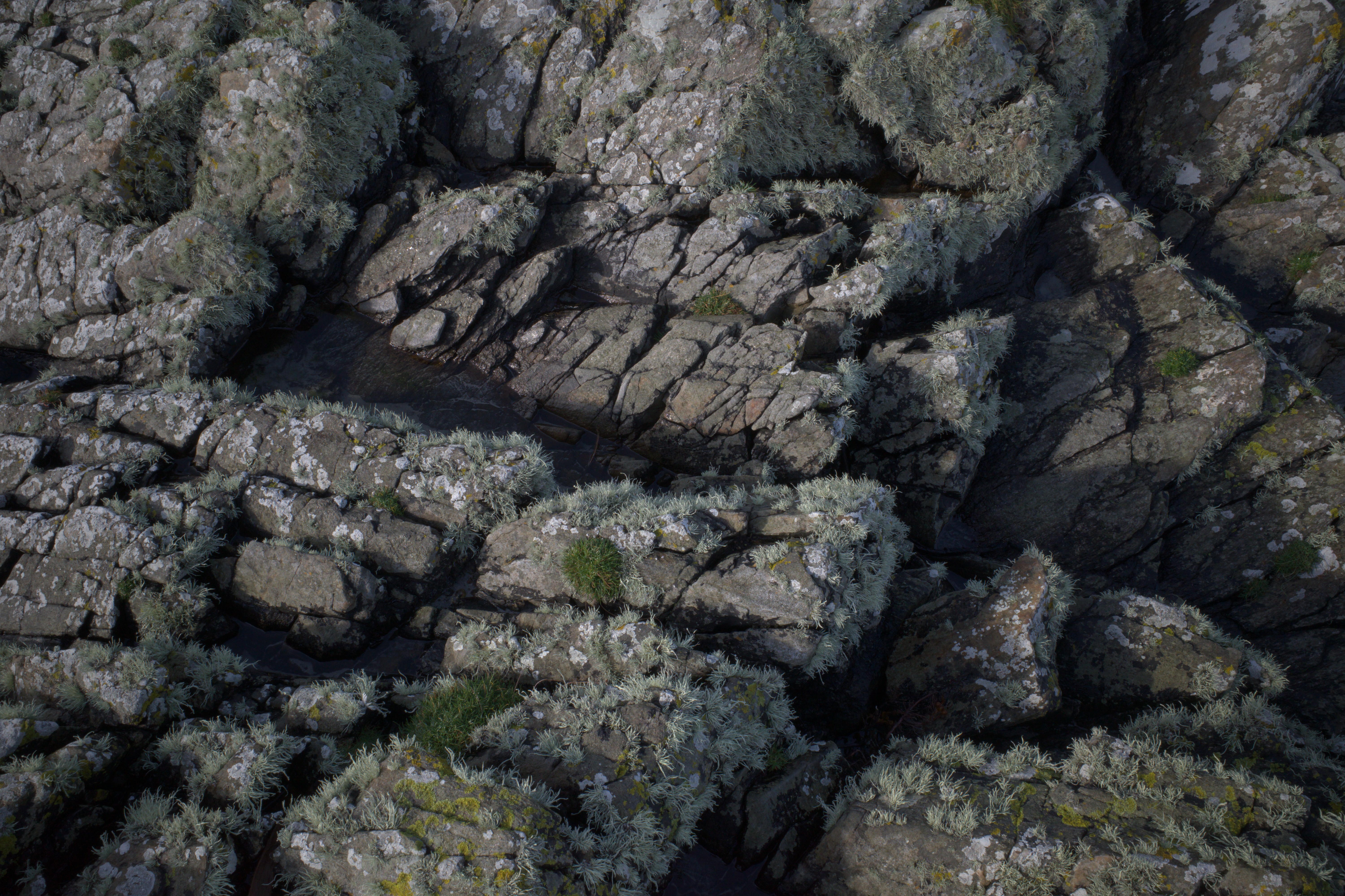 rocks